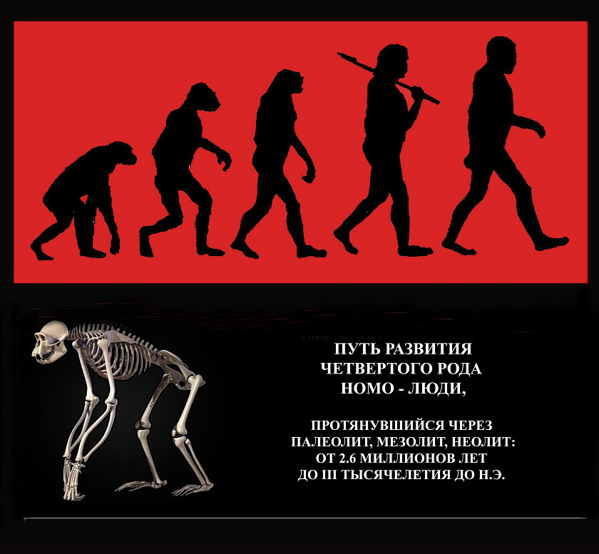 3 род людей. Люди род. Если бы Эволюция пошла не от обезьяны. Я верю в Дарвина. Дарвин иду домой.