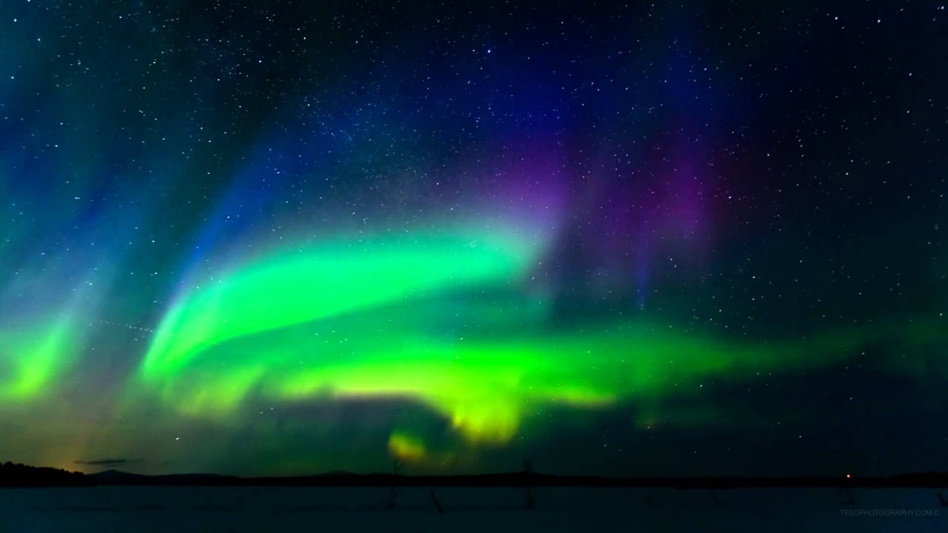 Auroras сайт